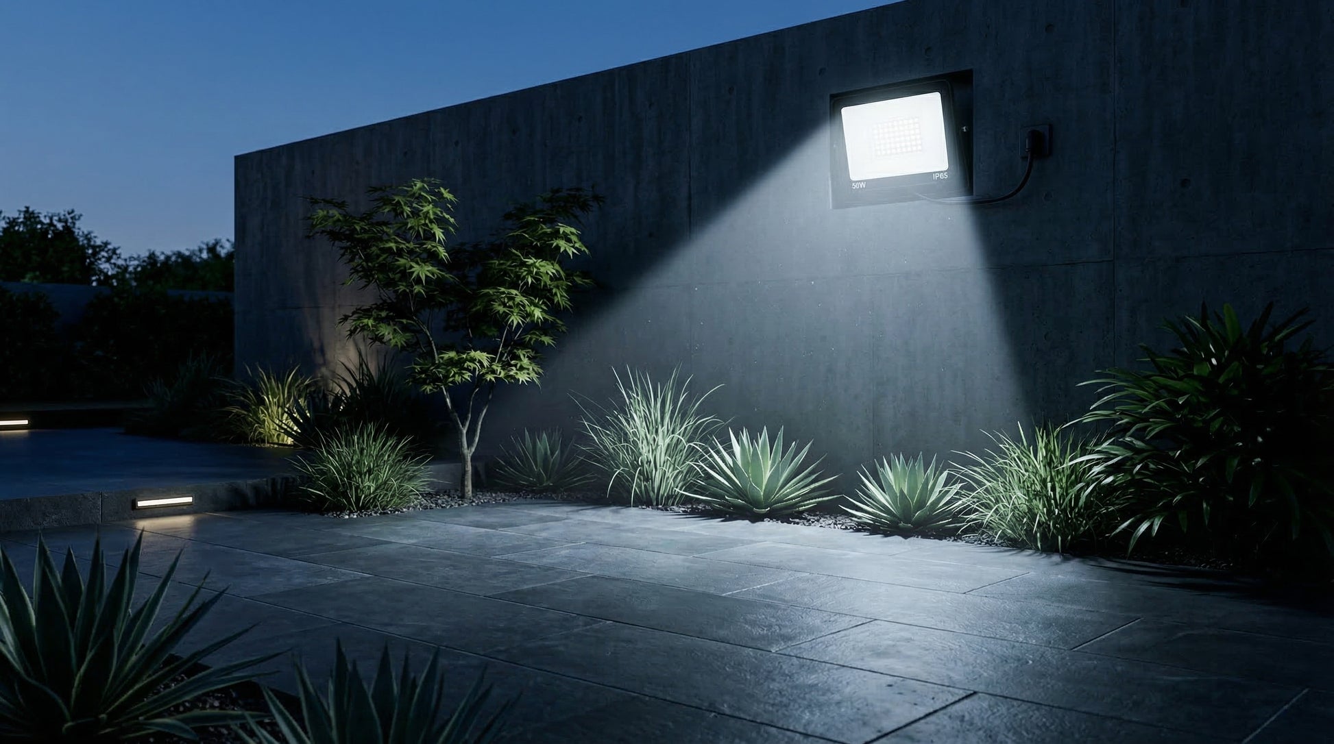 Outdoor garden scene with a concrete wall and plants illuminated by a light source.